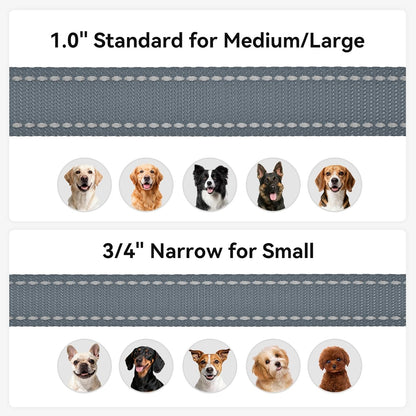 Dog Leash, 5 FT Double-Sided Reflective, Padded Handle Nylon Heavy Duty Leashes for Small Dogs Walking, Grey